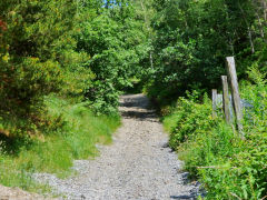 Possible incline to Woodland Brickworks, Abertillery, July 2013